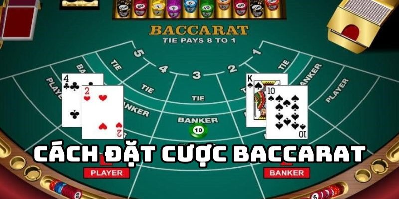 Tại K8vina, luật chơi và quy trình trong Baccarat là gì? 