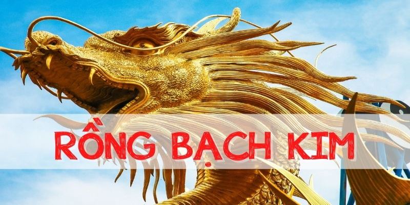 Giới thiệu về dàn đề rồng bạch kim