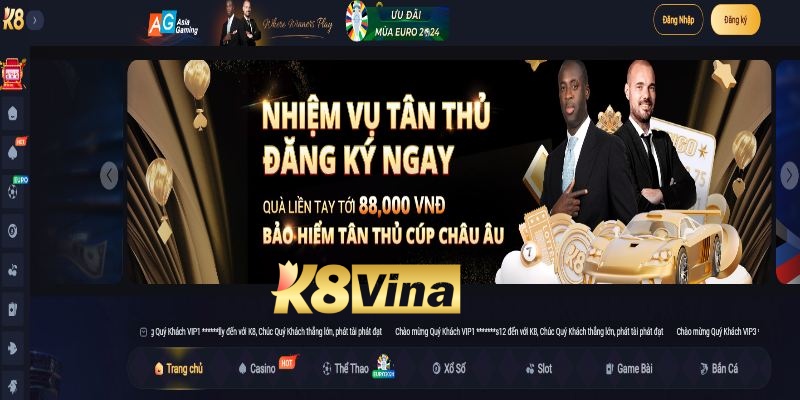 Tổng quan thông tin về K8vina